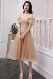 Cute tulle short A line prom dress homecoming dress HZ1023