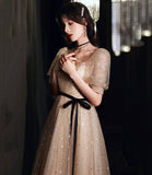 Champagne tulle long A line prom dress evening dress HZ1023