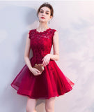 Cute lace short A line prom dress cocktail dress HZ1023