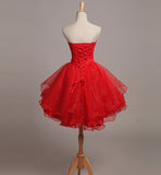 White/Red/Blue Sweet Cute Tulle Lace Short Prom Dress Homecoming Dress HZ1023