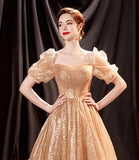 Shiny tulle long A line prom dress evening dress HZ1023