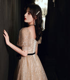 Champagne tulle long A line prom dress evening dress HZ1023