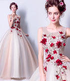 Elegant tulle applique long A line prom dress evening dress HZ1023