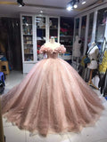 Champagne pink sweet shiny gorgeous elegant long ball gown evening dress princess adult ceremony ball gown HZ1023