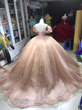 Champagne pink sweet shiny gorgeous elegant long ball gown evening dress princess adult ceremony ball gown HZ1023