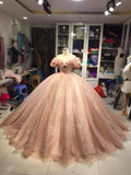 Champagne pink sweet shiny gorgeous elegant long ball gown evening dress princess adult ceremony ball gown HZ1023