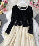 Retro A line velvet dress long sleeve dress HZ1023