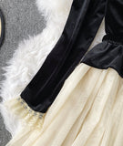 Retro A line velvet dress long sleeve dress HZ1023