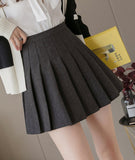 Stylish A line short skirt woolen cloth pleated skirt HZ1023