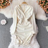 Sexy V Neck Long Sleeve Dress Fashion Dress HZ1023