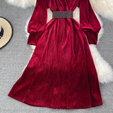 Elegant Velvet Long Sleeve Dress Fashion Dress HZ1023