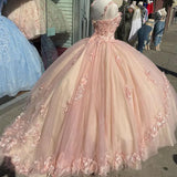 Pink/purple/green sweet lace applique long tulle quinceanera dress Ball gown evening dress HZ1023